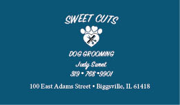 judy bus.card