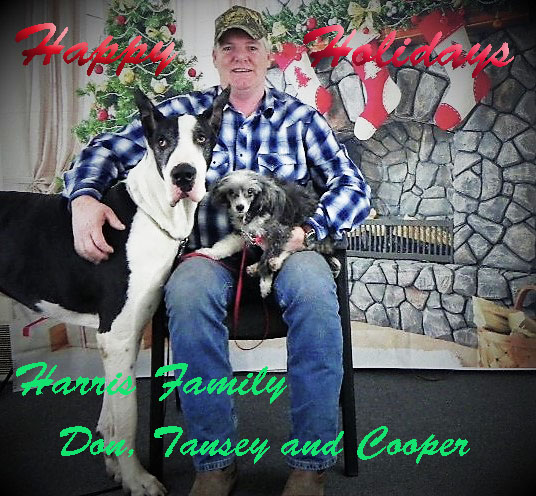 xmas card1