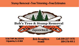 bobs card finish 1st template